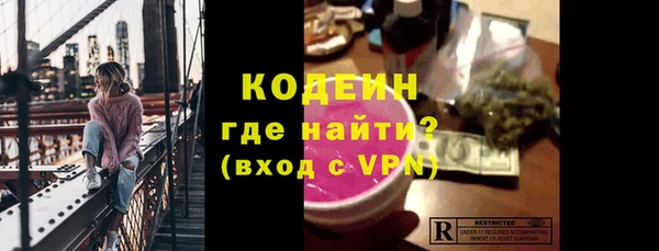 дживик Ельня