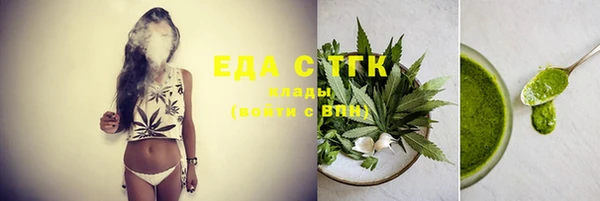 дживик Ельня
