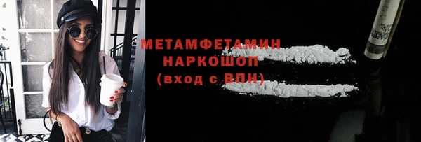 дживик Ельня