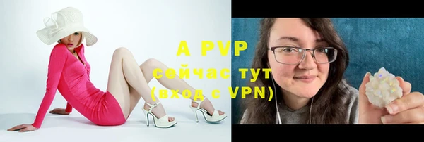 ГАЛЛЮЦИНОГЕННЫЕ ГРИБЫ Елабуга
