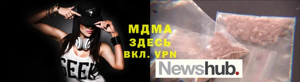 дживик Ельня