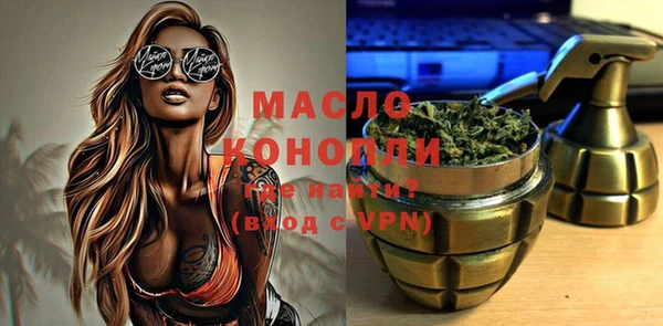 дживик Ельня
