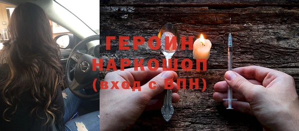дживик Ельня