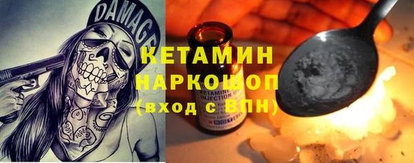 дживик Ельня