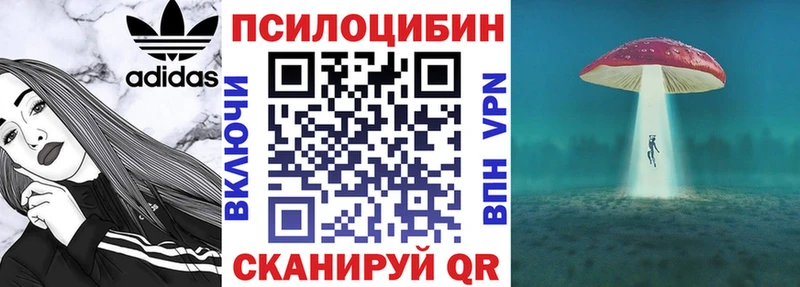 Купить закладки Кимовск Галлюциногенные грибы Psilocybe